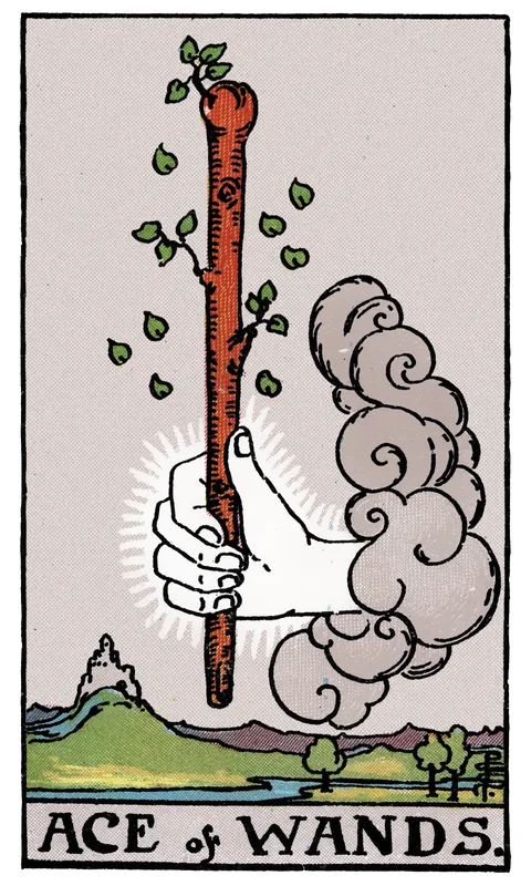 Ace of Wands, Minor Arcana card from the Rider-Waite-Smith tarot