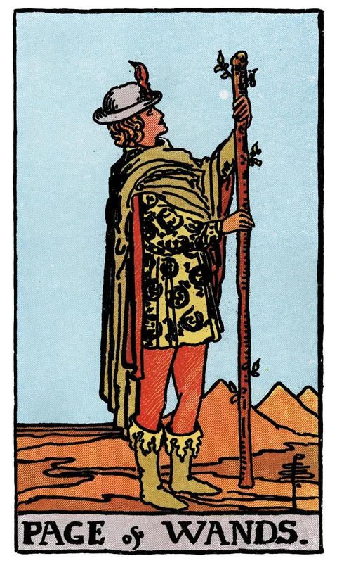 Page of Wands, Minor Arcana card from the Rider-Waite-Smith tarot